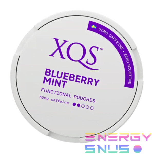 XQS Blueberry Mint Functional Pouches