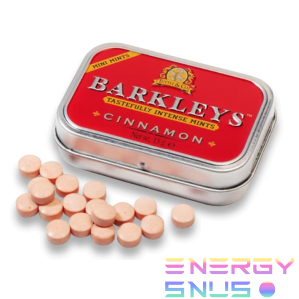 Barkleys Mini Mints Cinnamon