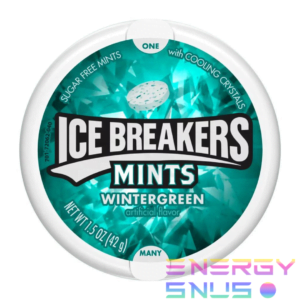 Ice Breakers Wintergreen Sugar Free Breath Mints