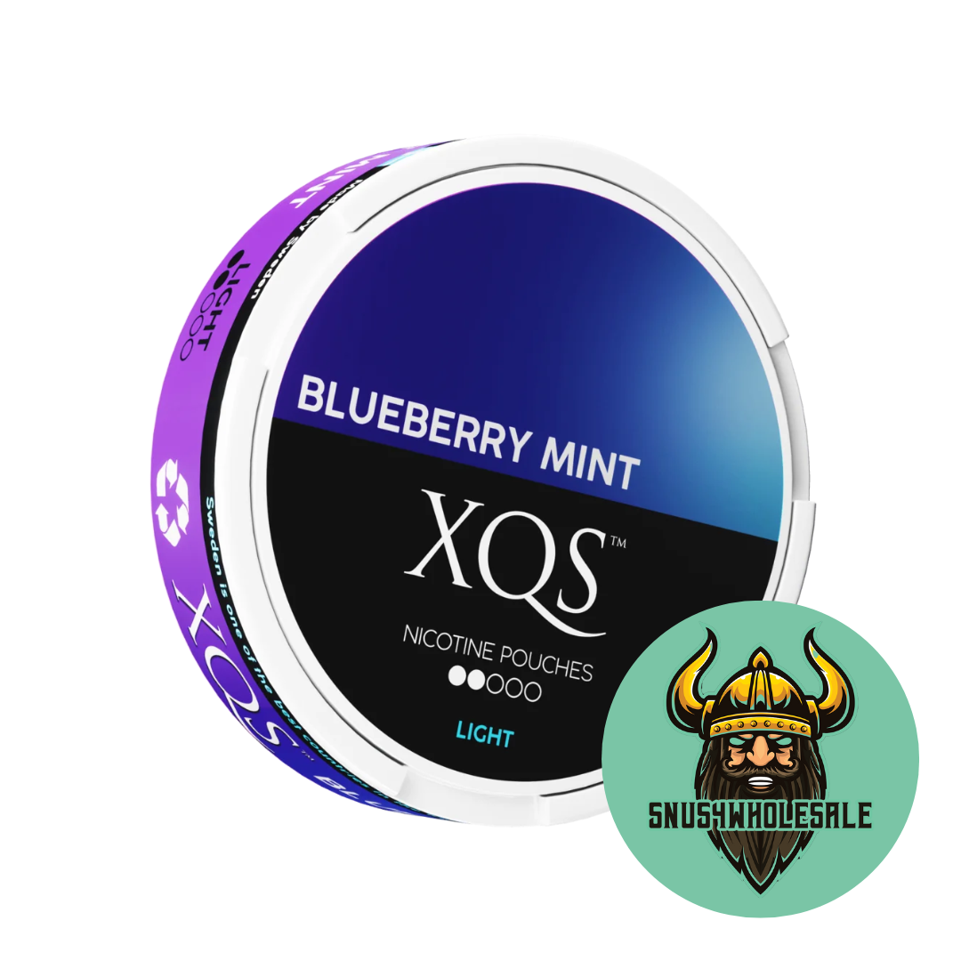 XQS BLUEBERRY MINT 4MG