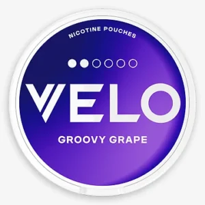 VELO Groovy Grape Mini