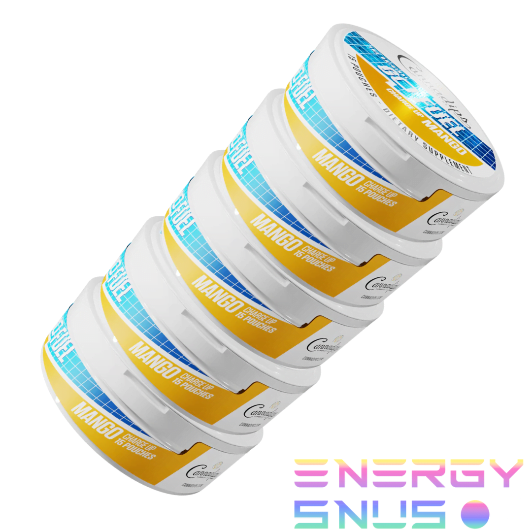 Cannadips GO FUEL CBG Mango Snus Pouches 5pack
