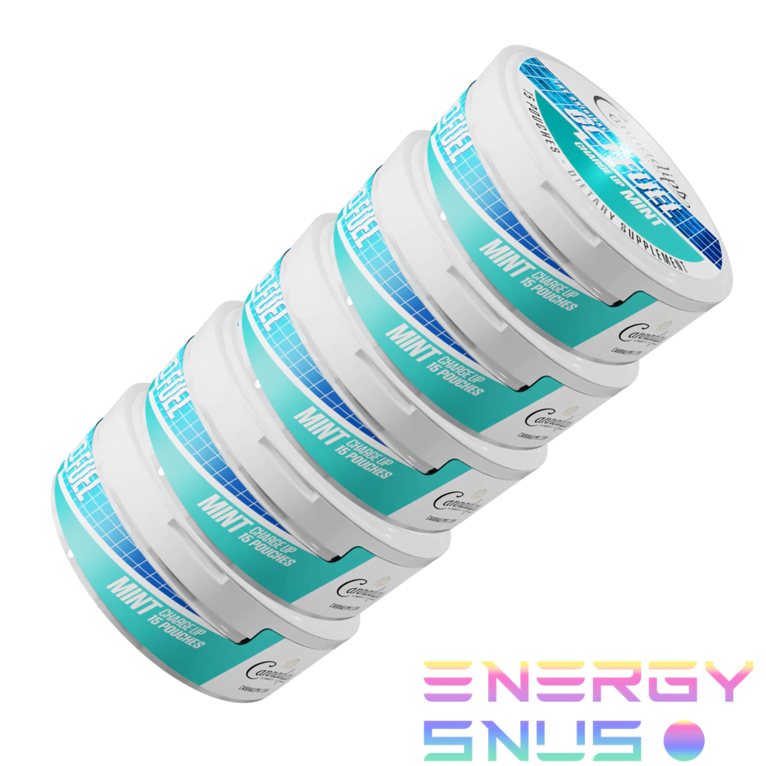 Cannadips GO FUEL CBG Mint Snus Pouches 5pack
