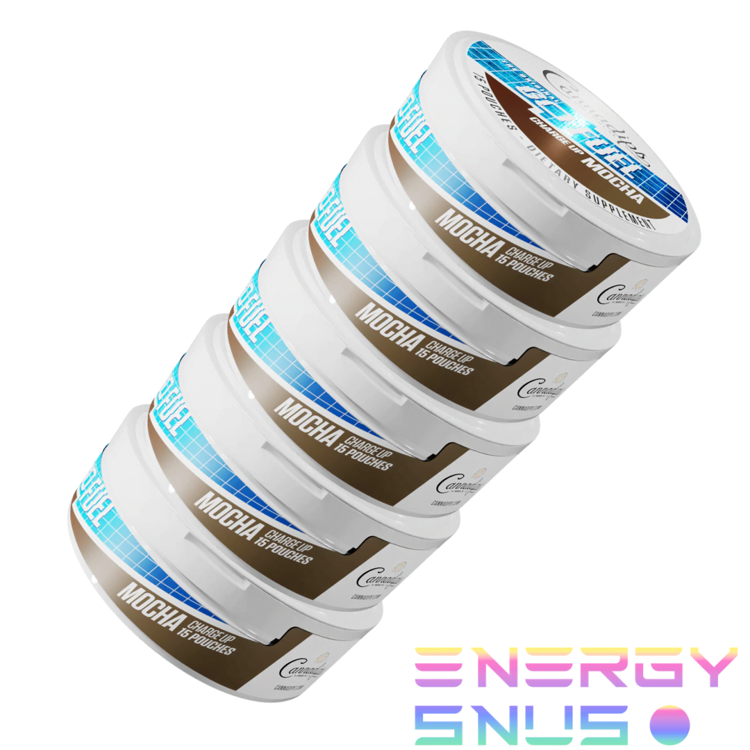 Cannadips GO FUEL CBG Mocha Snus Pouches 5pack