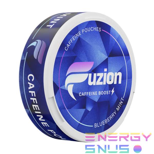FUZION BLUEBERRY MINT