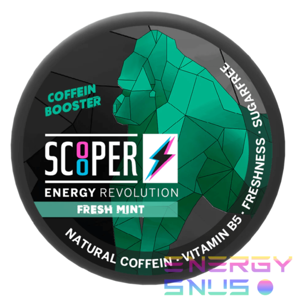 SCOOPER Energy Fresh Mint