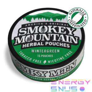 Smokey Mountain WINTERGREEN POUCHES DIP CHEW