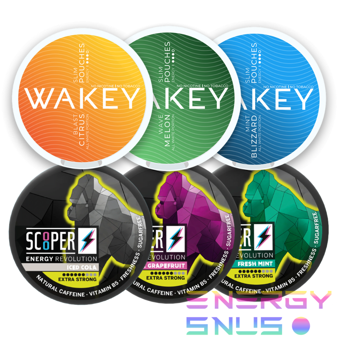 The Ultimate Snus & Nic Pouches Quit Kit Mixpack