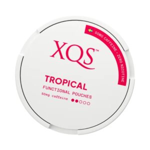 XQS Nicotine & Tobacco Free Snus Pouches