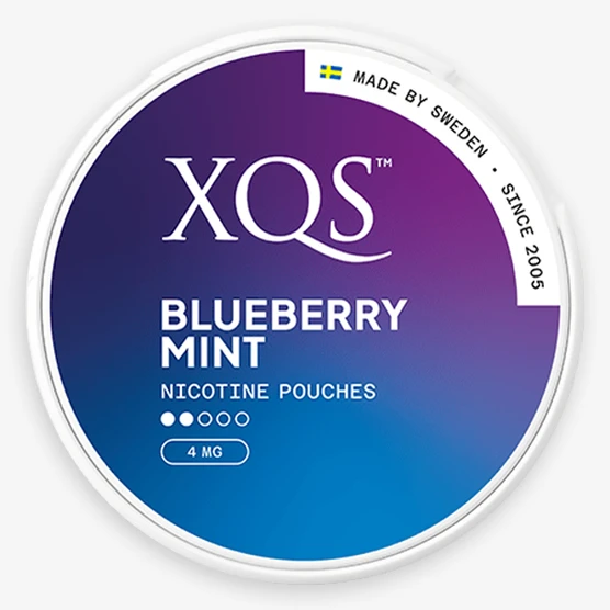 XQS Blueberry Mint 4mg (4MG/POUCH)