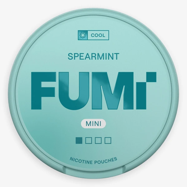 FUMi Spearmint Mini Regular