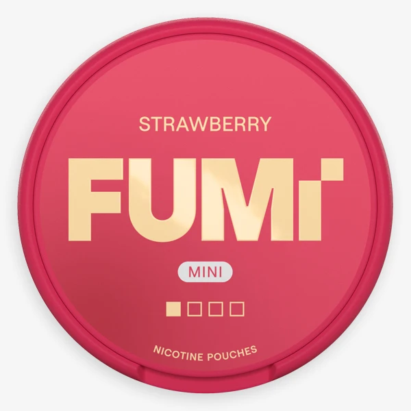 FUMi Strawberry Mini Regular